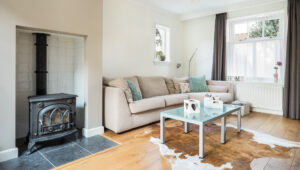 a living room with a couch, a fireplace and a television