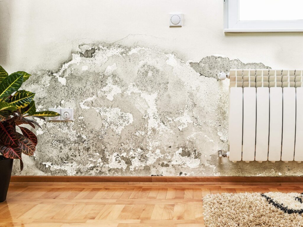 Mold growth on a wall near a radiator in a room setting.