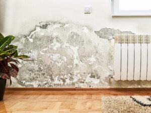Mold growth on a wall near a radiator in a room setting.