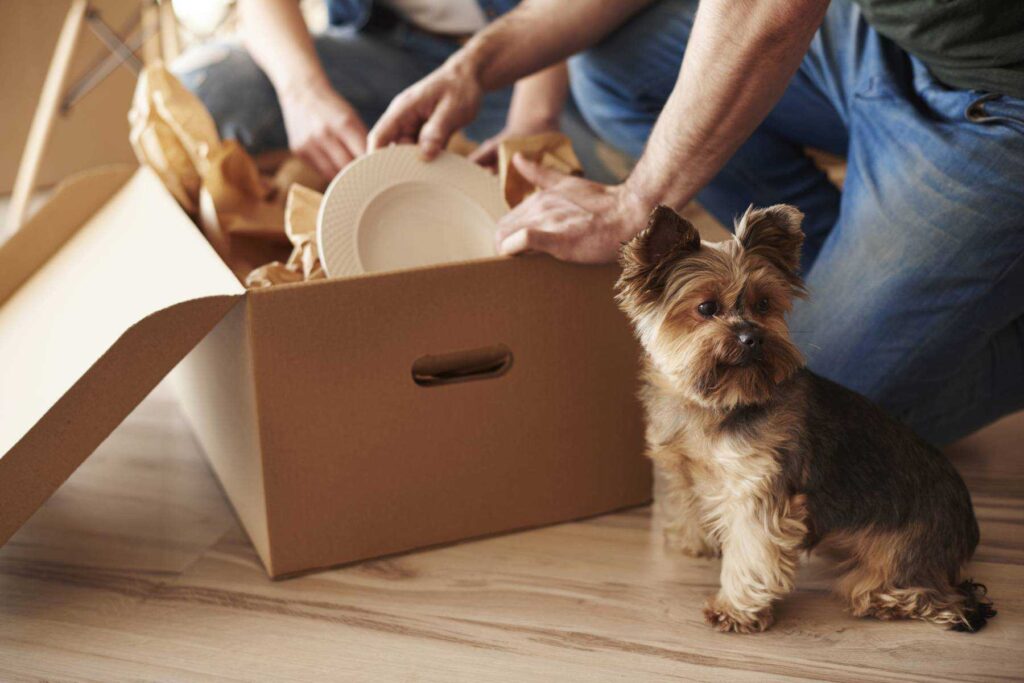 a man and a woman are packing a box with dog beside