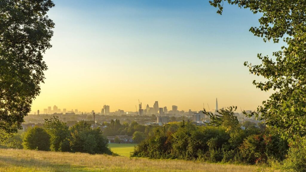 a view of the city from a park