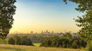 a view of the city from a park