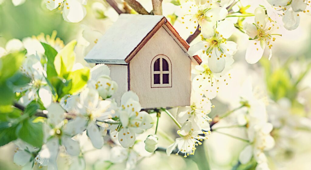 a birdhouse in a tree with white flowers