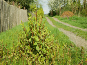 a wooden fence in the middle of a field