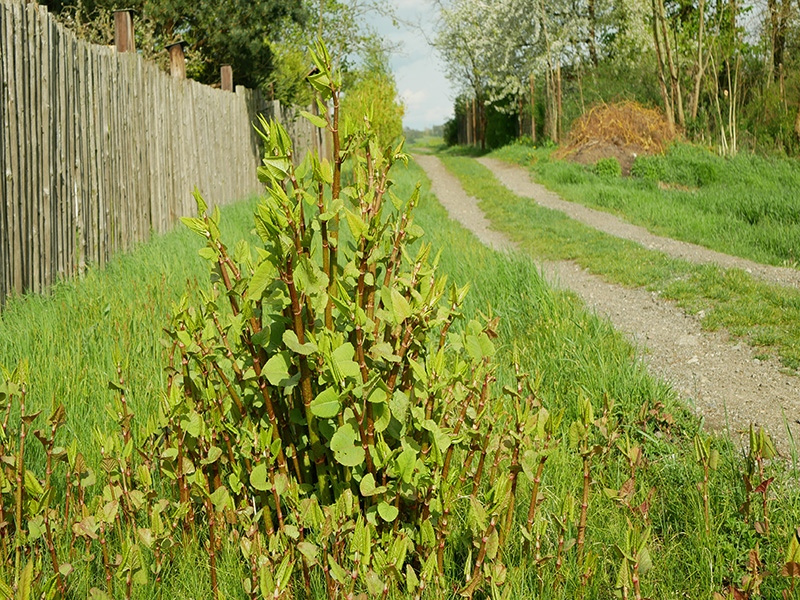 a wooden fence in the middle of a field