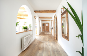 a long hallway with a plant in the middle