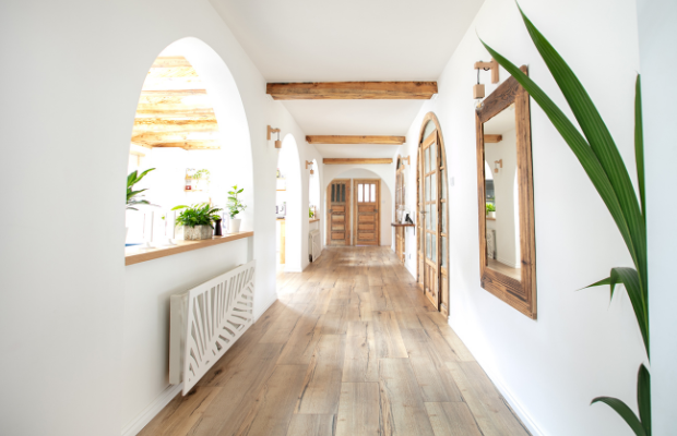 a long hallway with a plant in the middle