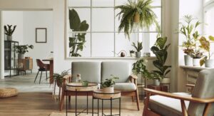 Bright and stylish living room with mid-century furniture and indoor plants, reflecting Ellis & Co’s autumn 2025 property market insights for homeowners preparing to sell.